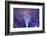 The Eye at Night-Adrian Campfield-Framed Photographic Print