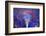 The Eye at Night-Adrian Campfield-Framed Photographic Print