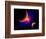 The Eye of a Nebula, a Star at the Center of a Gaseous Nebula-Stocktrek Images-Framed Premium Giclee Print