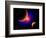 The Eye of a Nebula, a Star at the Center of a Gaseous Nebula-Stocktrek Images-Framed Premium Giclee Print