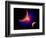 The Eye of a Nebula, a Star at the Center of a Gaseous Nebula-Stocktrek Images-Framed Premium Giclee Print