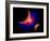 The Eye of a Nebula, a Star at the Center of a Gaseous Nebula-Stocktrek Images-Framed Art Print