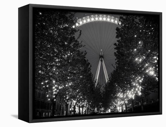 The Eye-Giuseppe Torre-Framed Premier Image Canvas