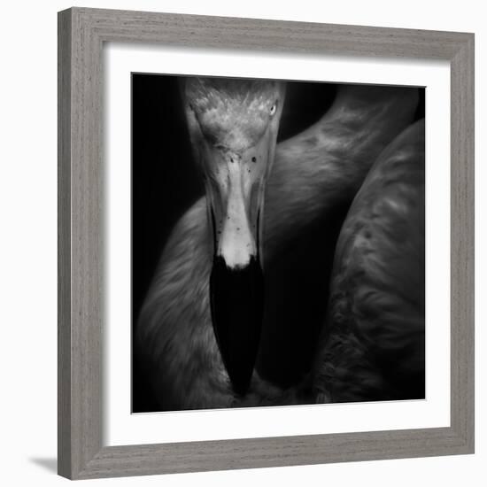 The Eye-Ruud Peters-Framed Photographic Print