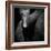 The Eye-Ruud Peters-Framed Photographic Print