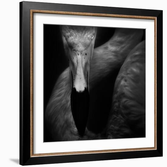 The Eye-Ruud Peters-Framed Photographic Print