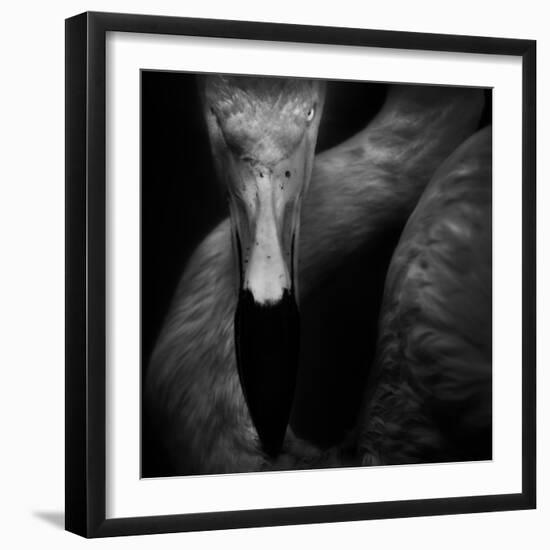 The Eye-Ruud Peters-Framed Photographic Print