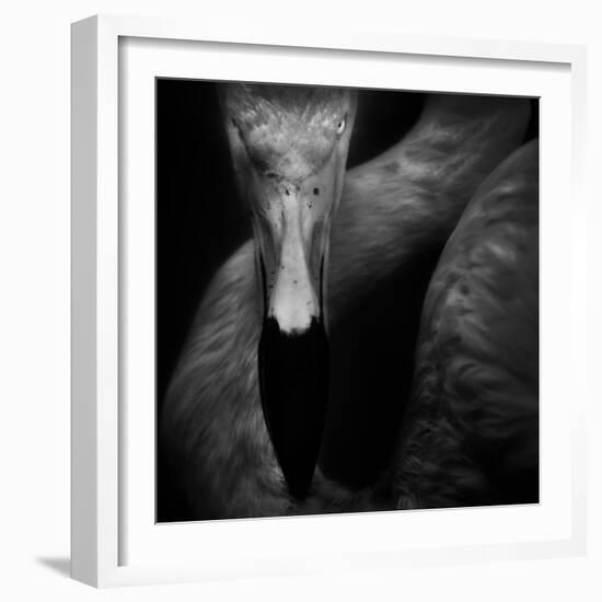 The Eye-Ruud Peters-Framed Photographic Print