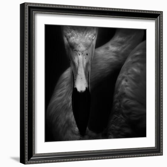 The Eye-Ruud Peters-Framed Photographic Print