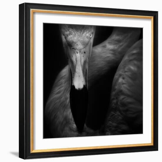 The Eye-Ruud Peters-Framed Photographic Print