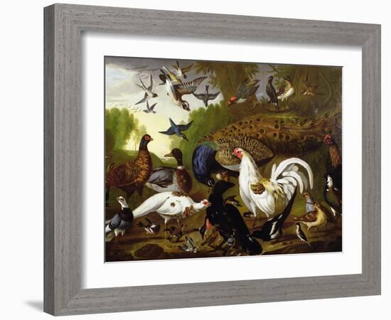 The Fable of the Raven with a Peacock, Cockerel, Woodpecker, Jay, Woodcock, and Magpie-Pieter Casteels-Framed Giclee Print