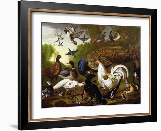 The Fable of the Raven with a Peacock, Cockerel, Woodpecker, Jay, Woodcock, and Magpie-Pieter Casteels-Framed Giclee Print