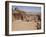 The Facade of the Monastery Carved into the Red Rock at Petra, UNESCO World Heritage Site, Jordan,-Martin Child-Framed Photographic Print