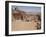 The Facade of the Monastery Carved into the Red Rock at Petra, UNESCO World Heritage Site, Jordan,-Martin Child-Framed Photographic Print