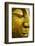 The Face of Buddha-Wasu Watcharadachaphong-Framed Photographic Print