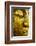 The Face of Buddha-Wasu Watcharadachaphong-Framed Photographic Print