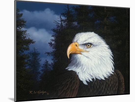 The Face of Freedom-R.W. Hedge-Mounted Giclee Print