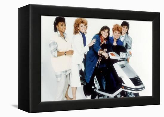 The Facts of Life-null-Framed Stretched Canvas