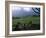 The Fagan Memorial, Hana, Maui, Hawaii, USA-Charles Sleicher-Framed Photographic Print