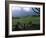 The Fagan Memorial, Hana, Maui, Hawaii, USA-Charles Sleicher-Framed Photographic Print