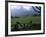 The Fagan Memorial, Hana, Maui, Hawaii, USA-Charles Sleicher-Framed Photographic Print