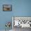 The Fahan group of beehive huts, on the southwest coast of the Dingle Peninsula, near Slea Head, Co-Nigel Hicks-Framed Premier Image Canvas displayed on a wall