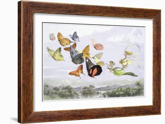 'The Fairy Queen's Carriage', c1870-Richard Doyle-Framed Giclee Print