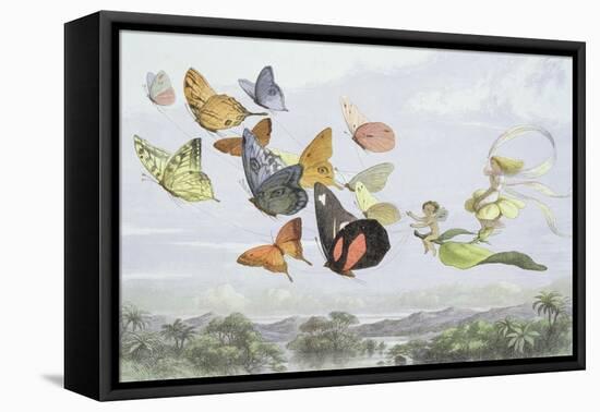 The Fairy Queen's Carriage-Richard Doyle-Framed Premier Image Canvas