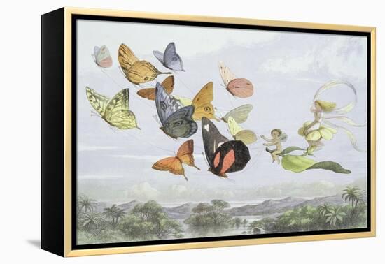 The Fairy Queen's Carriage-Richard Doyle-Framed Premier Image Canvas