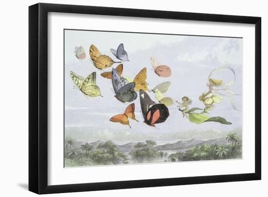 The Fairy Queen's Carriage-Richard Doyle-Framed Giclee Print