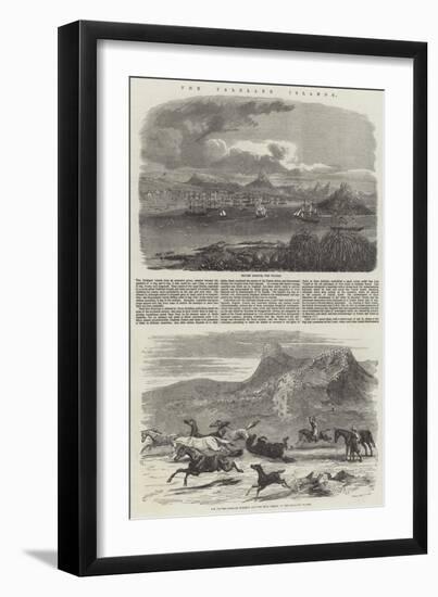 The Falkland Islands-Harrison William Weir-Framed Giclee Print