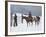 The Fall of the Cowboy-Frederic Sackrider Remington-Framed Premium Giclee Print