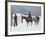 The Fall of the Cowboy-Frederic Sackrider Remington-Framed Premium Giclee Print