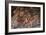 The Fall of the Giants (Sala Dei Gigant)-Giulio Romano-Framed Giclee Print