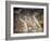 The Fall of the Giants-Giulio Romano-Framed Giclee Print