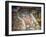 The Fall of the Giants-Giulio Romano-Framed Giclee Print