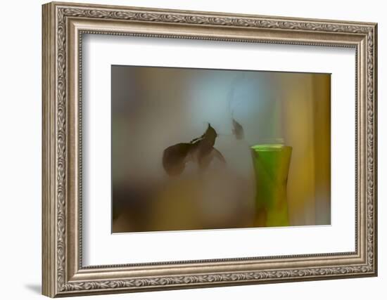 The Fallen Hellebore-Valda Bailey-Framed Photographic Print