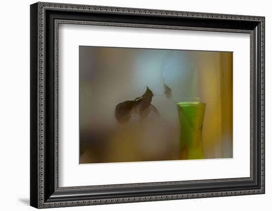 The Fallen Hellebore-Valda Bailey-Framed Photographic Print