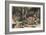 The Fallow Deer-Stefano Bianchetti-Framed Giclee Print