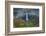 The Falls-Dan Sproul-Framed Photo