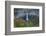 The Falls-Dan Sproul-Framed Photo