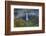 The Falls-Dan Sproul-Framed Photo