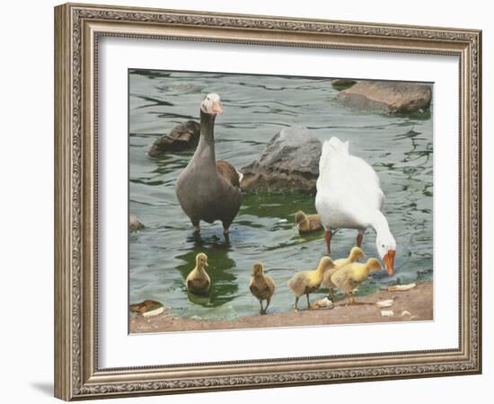 The Family-Luis Aguirre-Framed Giclee Print