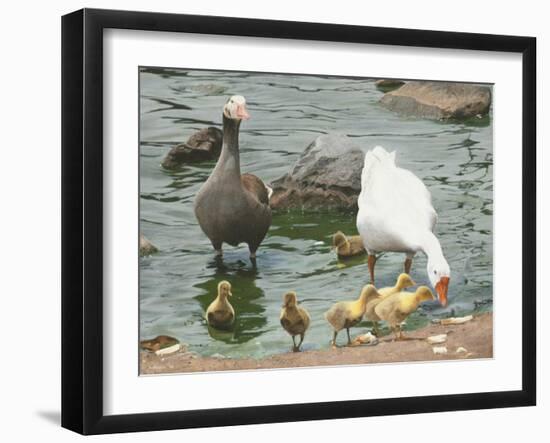 The Family-Luis Aguirre-Framed Giclee Print