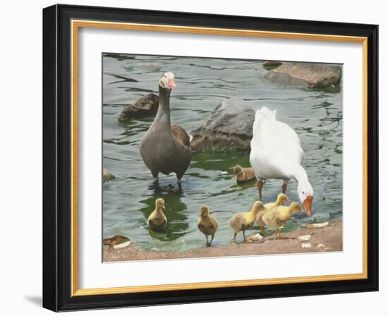 The Family-Luis Aguirre-Framed Giclee Print