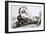 The Famous 4-6-0 Castle Class of Steam Locomotives Used by Great Western-John S. Smith-Framed Giclee Print