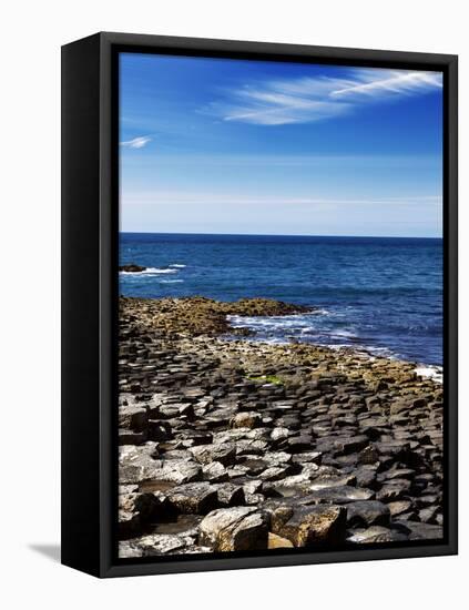 The Famous Giant's Causeway of Northern Ireland-Bartkowski-Framed Premier Image Canvas