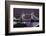 The Famous Tower Bridge in London Seen at Dusk, London, England-David Bank-Framed Photographic Print