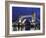 The Famous Tower Bridge over the River Thames in London-David Bank-Framed Photographic Print