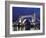 The Famous Tower Bridge over the River Thames in London-David Bank-Framed Photographic Print